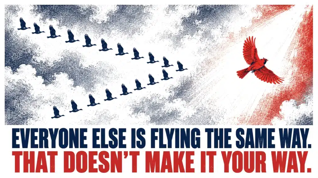 Birds flying in different directions showing that businesses should choose the right webinar format instead of following what everyone else does