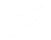 SW-Icon1